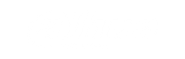 Dahua Technology